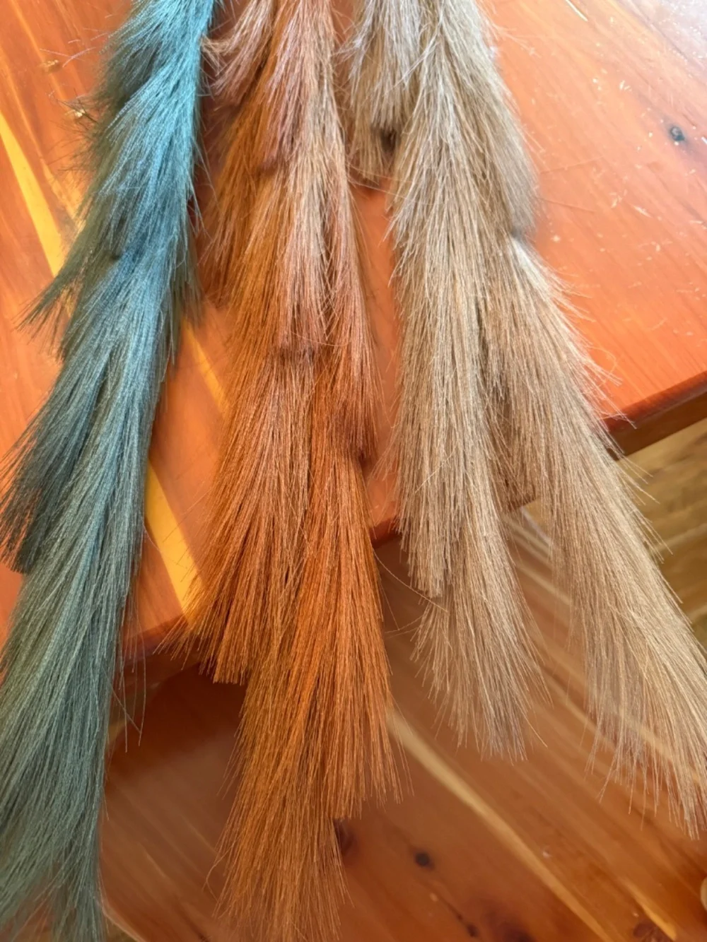 Pompas grass stems NWOT